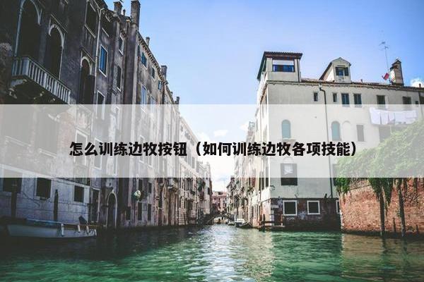 怎么训练边牧按钮（如何训练边牧各项技能）