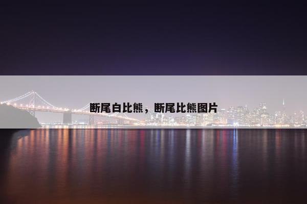 断尾白比熊，断尾比熊图片