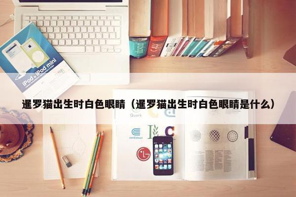 暹罗猫出生时白色眼睛（暹罗猫出生时白色眼睛是什么）
