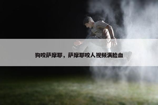 狗咬萨摩耶，萨摩耶咬人视频满脸血