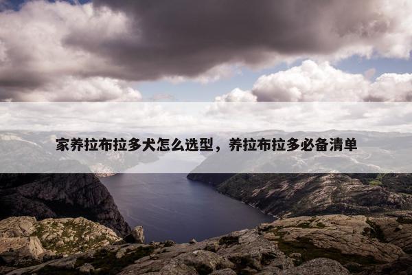 家养拉布拉多犬怎么选型，养拉布拉多必备清单