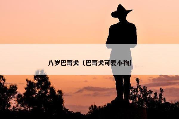 八岁巴哥犬（巴哥犬可爱小狗）