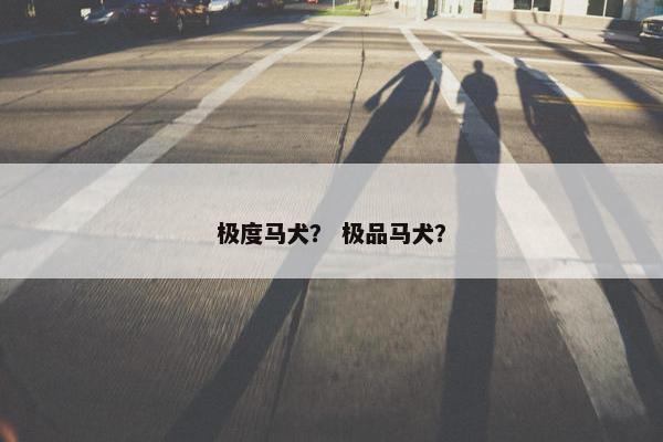 极度马犬？ 极品马犬？
