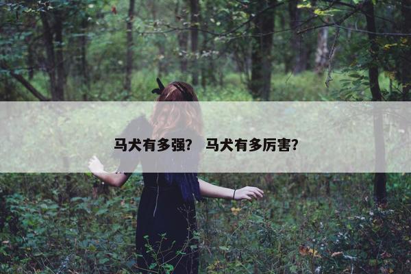 马犬有多强？ 马犬有多厉害？