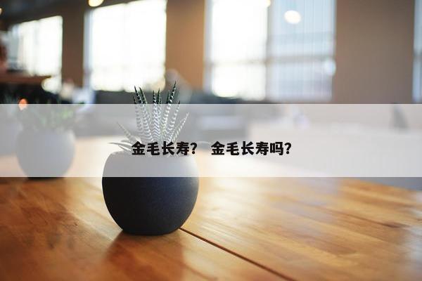 金毛长寿? 金毛长寿吗?