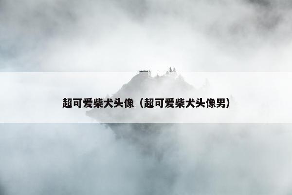 超可爱柴犬头像（超可爱柴犬头像男）