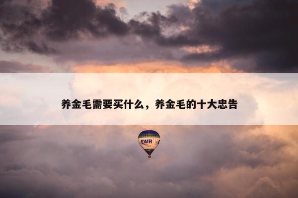 养金毛需要买什么,养金毛的十大忠告
