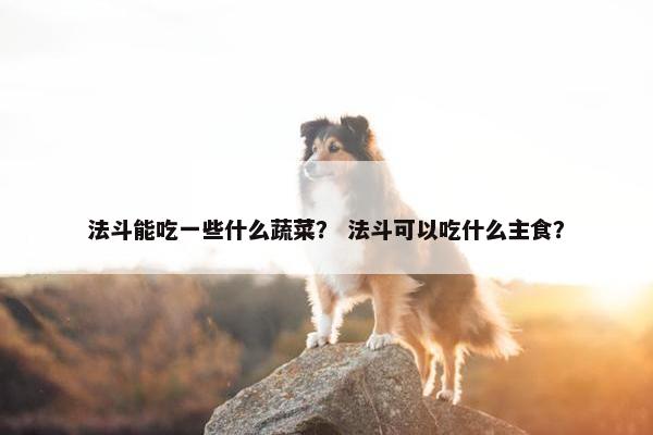 法斗能吃一些什么蔬菜？ 法斗可以吃什么主食？