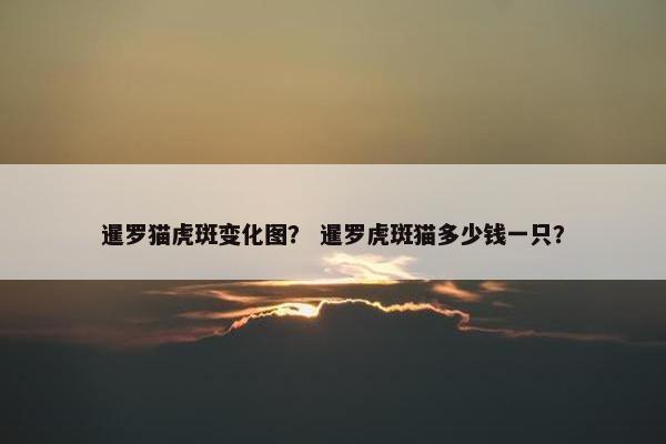 暹罗猫虎斑变化图？ 暹罗虎斑猫多少钱一只？