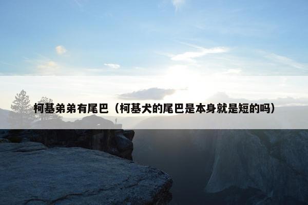 柯基弟弟有尾巴(柯基犬的尾巴是本身就是短的吗)