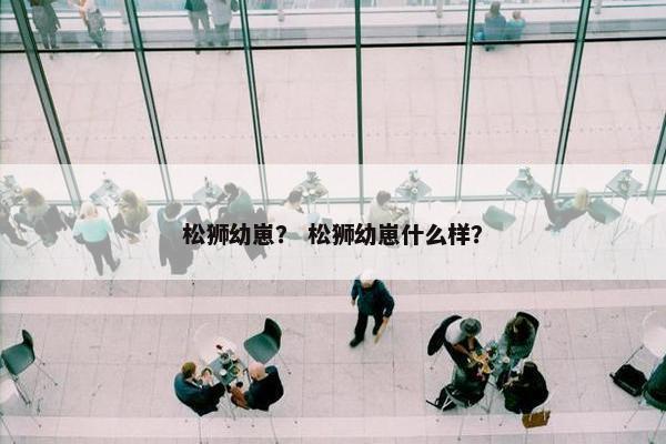 松狮幼崽？ 松狮幼崽什么样？