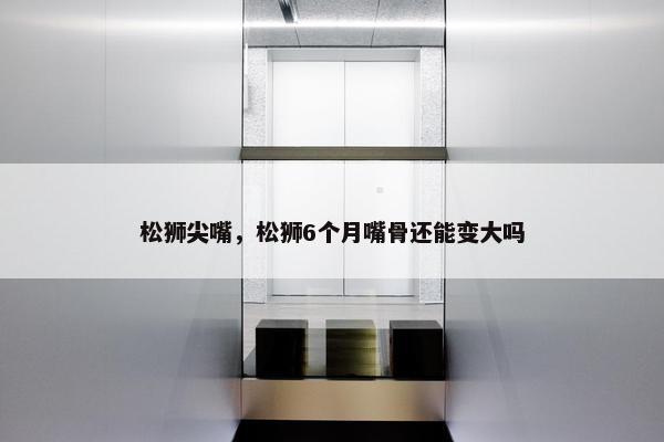 松狮尖嘴，松狮6个月嘴骨还能变大吗