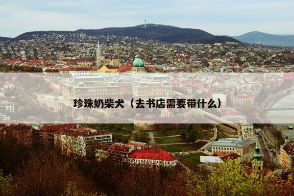 珍珠奶柴犬（去书店需要带什么）