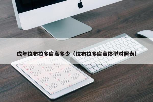 成年拉布拉多肩高多少(拉布拉多肩高体型对照表)