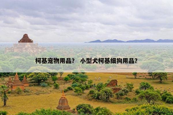 柯基宠物用品？ 小型犬柯基细狗用品？