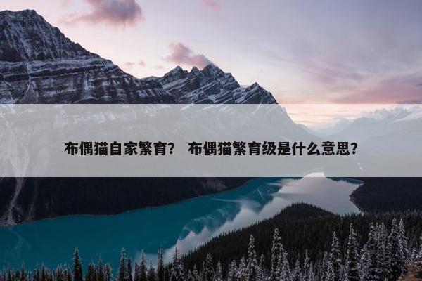布偶猫自家繁育？ 布偶猫繁育级是什么意思？