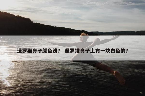 暹罗猫鼻子颜色浅？ 暹罗猫鼻子上有一块白色的？