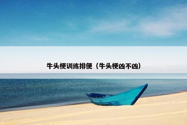 牛头梗训练排便（牛头梗凶不凶）