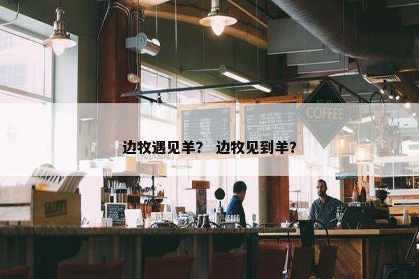 边牧遇见羊？ 边牧见到羊？