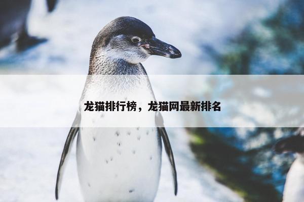 龙猫排行榜,龙猫网最新排名