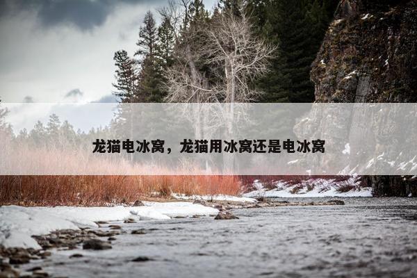 龙猫电冰窝,龙猫用冰窝还是电冰窝