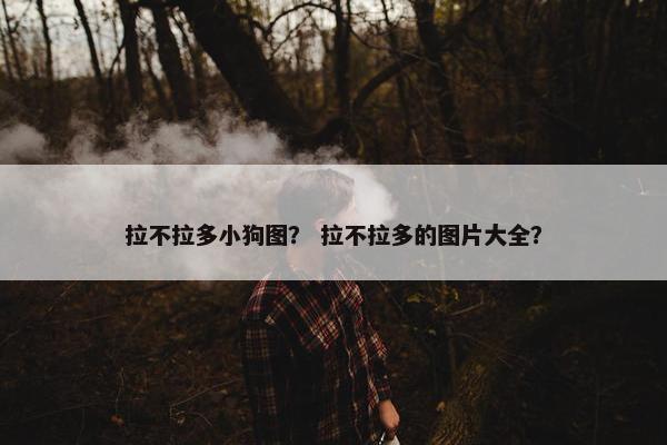 拉不拉多小狗图？ 拉不拉多的图片大全？