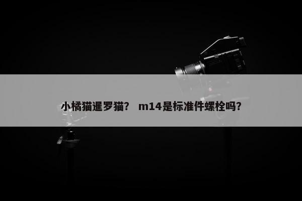 小橘猫暹罗猫？ m14是标准件螺栓吗？