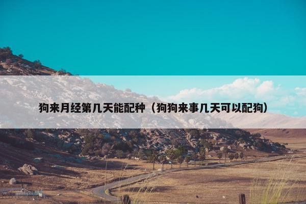 狗来月经第几天能配种（狗狗来事几天可以配狗）
