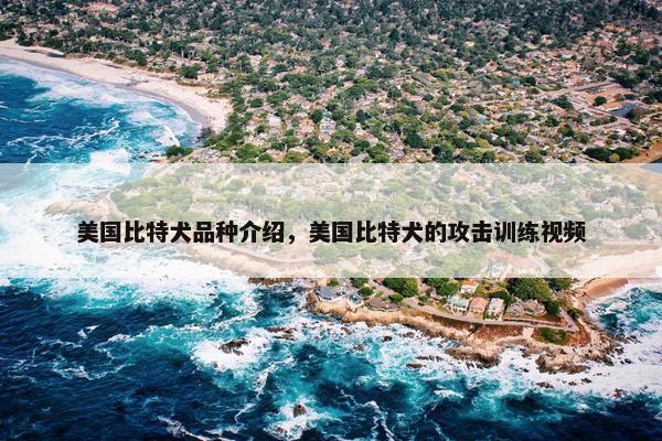 美国比特犬品种介绍,美国比特犬的攻击训练视频