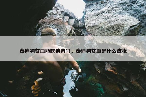 泰迪狗贫血能吃猪肉吗,泰迪狗贫血是什么症状