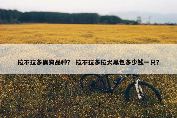 拉不拉多黑狗品种？ 拉不拉多拉犬黑色多少钱一只？