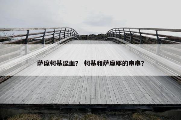 萨摩柯基混血？ 柯基和萨摩耶的串串？