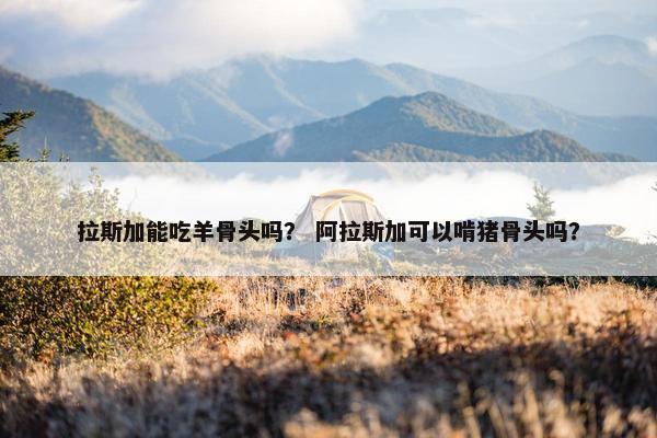 拉斯加能吃羊骨头吗？ 阿拉斯加可以啃猪骨头吗？