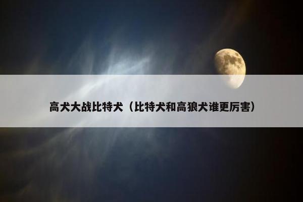 高犬大战比特犬（比特犬和高狼犬谁更厉害）
