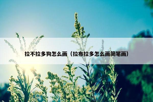拉不拉多狗怎么画（拉布拉多怎么画简笔画）