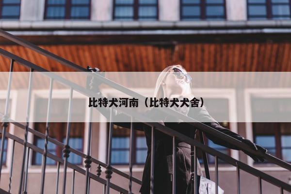 比特犬河南（比特犬犬舍）