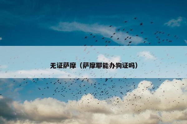 无证萨摩（萨摩耶能办狗证吗）
