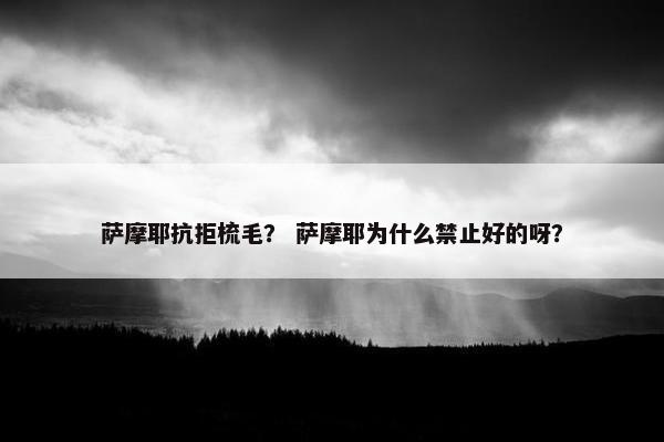 萨摩耶抗拒梳毛？ 萨摩耶为什么禁止好的呀？