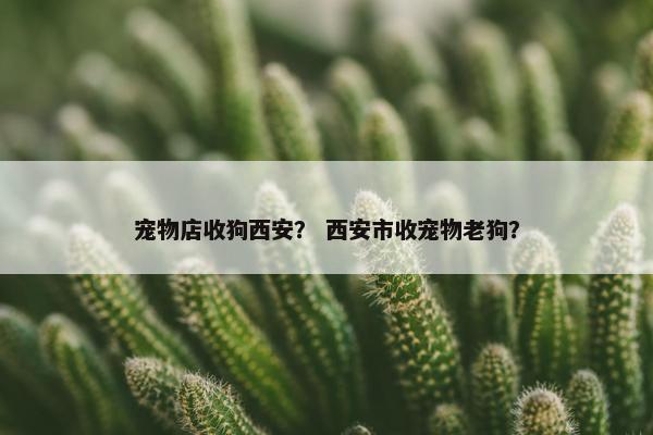 宠物店收狗西安？ 西安市收宠物老狗？