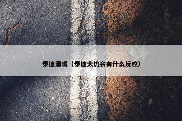 泰迪温暖（泰迪太热会有什么反应）