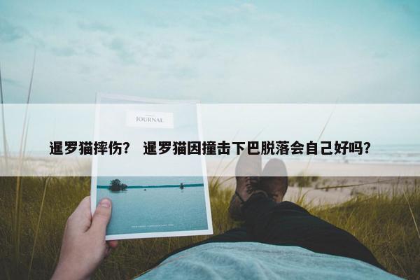 暹罗猫摔伤？ 暹罗猫因撞击下巴脱落会自己好吗？