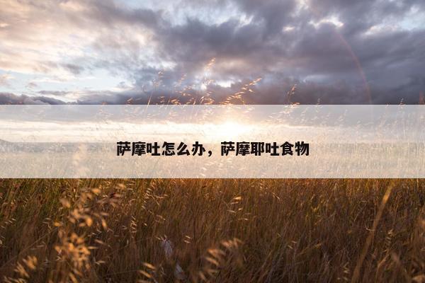 萨摩吐怎么办，萨摩耶吐食物