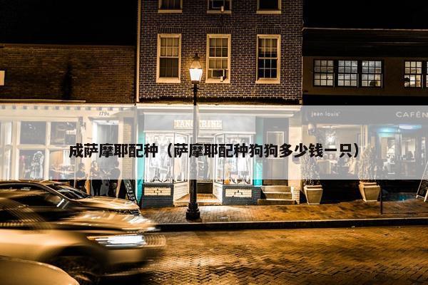 成萨摩耶配种（萨摩耶配种狗狗多少钱一只）