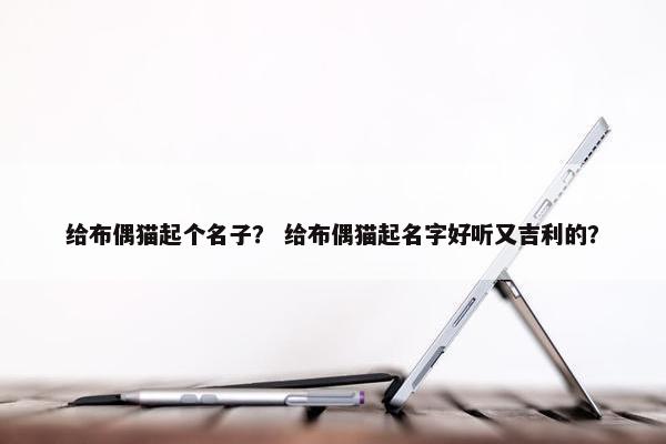 给布偶猫起个名子？ 给布偶猫起名字好听又吉利的？