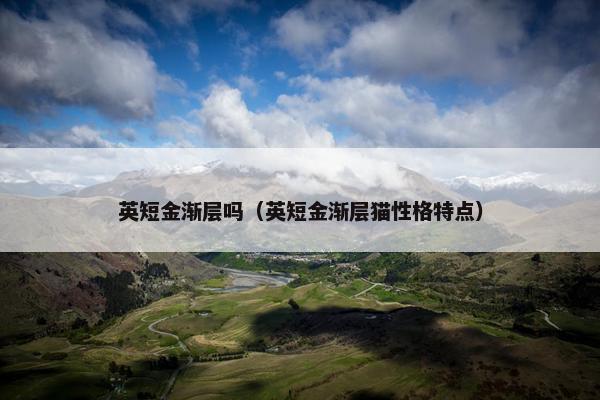 英短金渐层吗（英短金渐层猫性格特点）