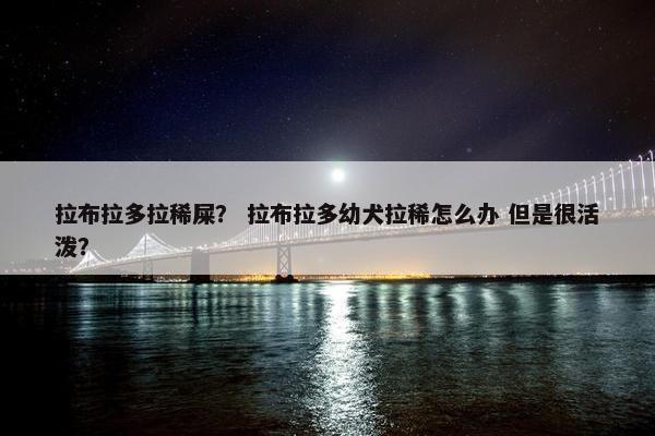 拉布拉多拉稀屎？ 拉布拉多幼犬拉稀怎么办 但是很活泼？