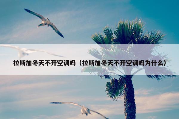 拉斯加冬天不开空调吗（拉斯加冬天不开空调吗为什么）