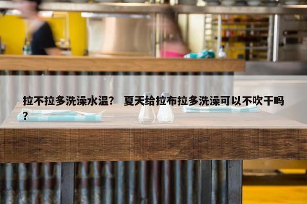 拉不拉多洗澡水温？ 夏天给拉布拉多洗澡可以不吹干吗？