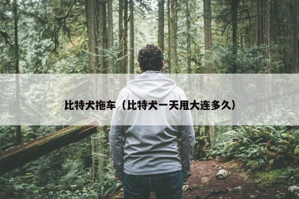比特犬拖车（比特犬一天甩大连多久）