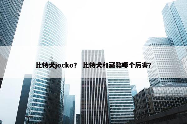 比特犬jocko？ 比特犬和藏獒哪个厉害？